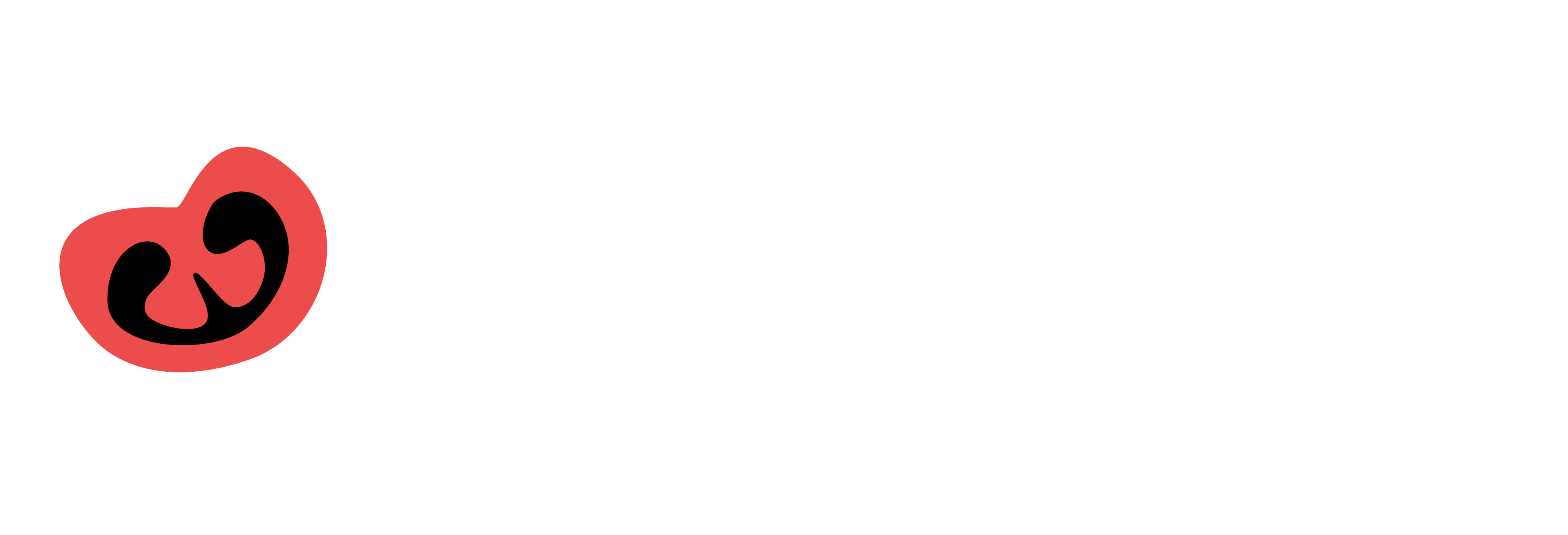 HeySalad Logo